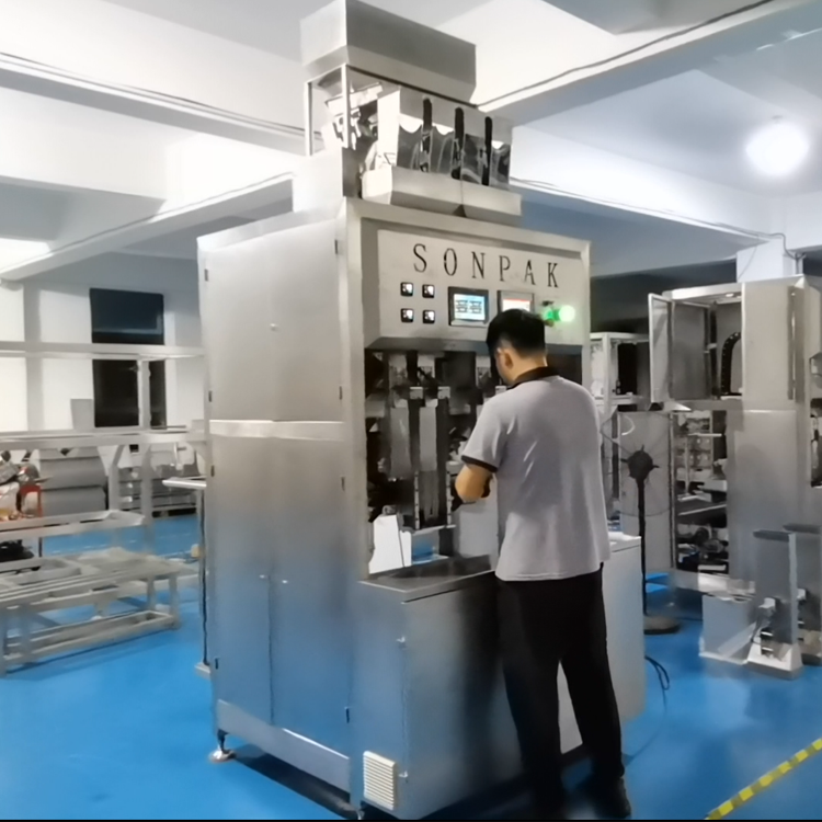 自動(dòng)給袋式真空包裝機(jī):常見(jiàn)問(wèn)題及解決策略 自動(dòng)給袋式真空包裝機(jī):常見(jiàn)問(wèn)題及解決策略